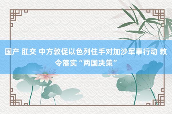 国产 肛交 中方敦促以色列住手对加沙军事行动 敕令落实“两国决策”