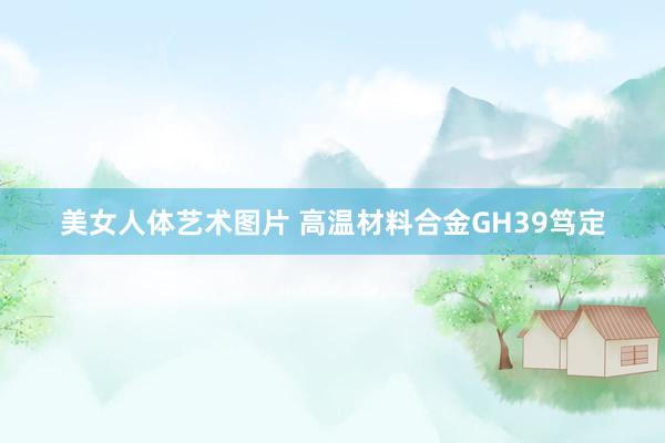 美女人体艺术图片 高温材料合金GH39笃定