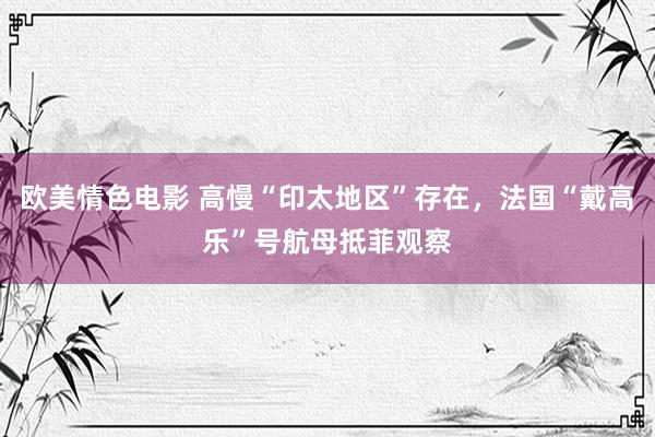 欧美情色电影 高慢“印太地区”存在，法国“戴高乐”号航母抵菲观察