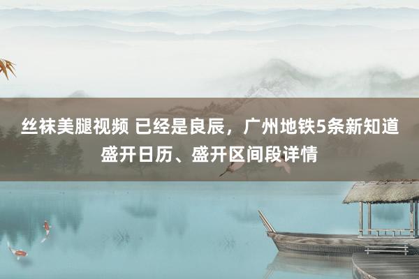 丝袜美腿视频 已经是良辰，广州地铁5条新知道盛开日历、盛开区间段详情