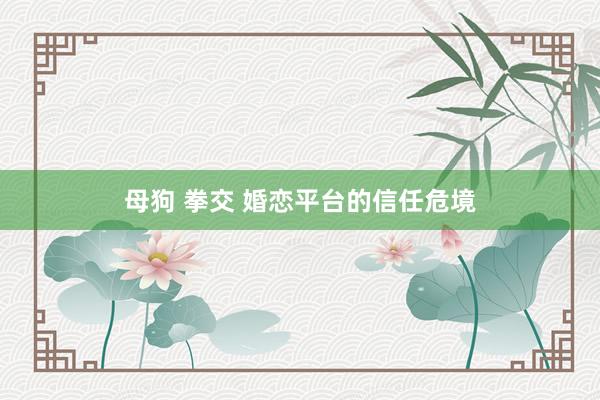 母狗 拳交 婚恋平台的信任危境