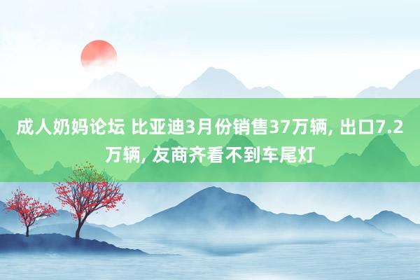 成人奶妈论坛 比亚迪3月份销售37万辆, 出口7.2万辆, 友商齐看不到车尾灯