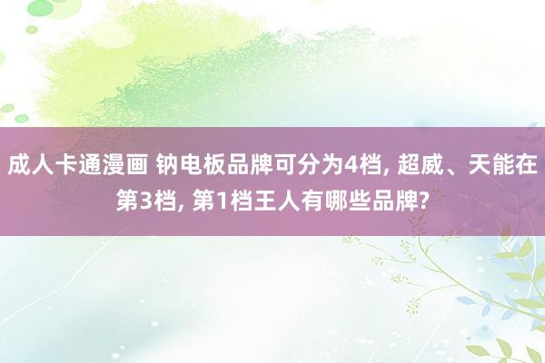 成人卡通漫画 钠电板品牌可分为4档, 超威、天能在第3档, 第1档王人有哪些品牌?