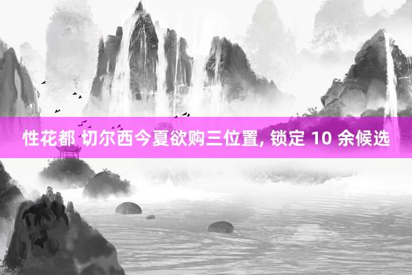 性花都 切尔西今夏欲购三位置, 锁定 10 余候选