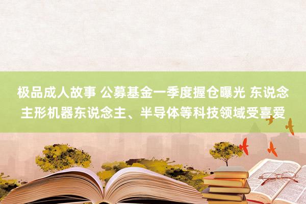 极品成人故事 公募基金一季度握仓曝光 东说念主形机器东说念主、半导体等科技领域受喜爱