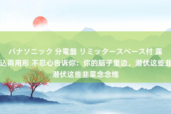 パナソニック 分電盤 リミッタースペース付 露出・半埋込両用形 不忍心告诉你：你的脑子里边，潜伏这些韭菜念念维