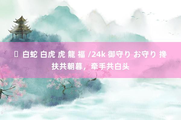 ✨白蛇 白虎 虎 龍 福 /24k 御守り お守り 搀扶共朝暮，牵手共白头