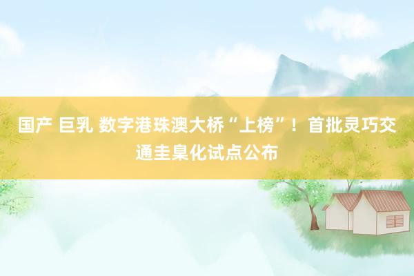 国产 巨乳 数字港珠澳大桥“上榜”！首批灵巧交通圭臬化试点公布
